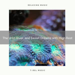 The Wild River, and Sweet Dreams with High Rest - Relaxing Water Sounds