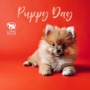 Puppy Day - Pet Care Club
