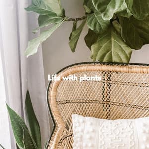 Life with plants - Restaurante de Musica de Lujo