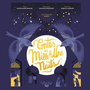 Contes des mille et une nuits - Gallimard Jeunesse