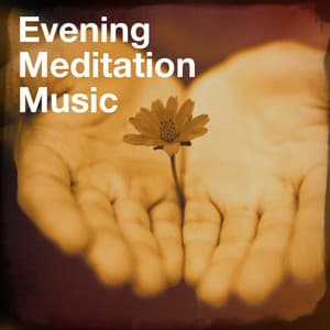Evening Meditation Music - Sounds of Nature White Noise for Mindfulness, Meditation and Relaxation