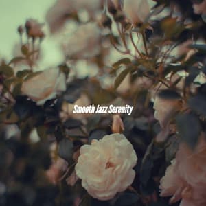 Smooth Jazz Serenity - Coffee Shop Piano Jazz Playlist