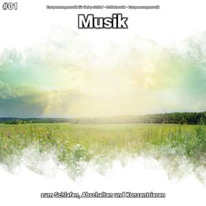 #01 Musik zum Schlafen, Abschalten und Konzentrieren - Entspannungsmusik für tiefen Schlaf