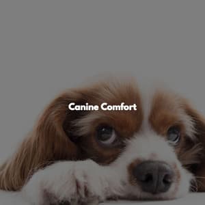 Canine Comfort - Smooth Jazz Relax
