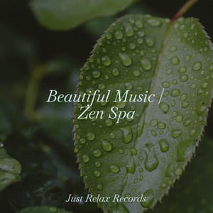 Beautiful Music | Zen Spa - Relajación