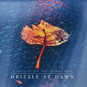 Drizzle at Dawn - Meditation Rain Sounds