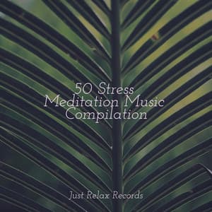 50 Stress Meditation Music Compilation - Nursery Rhymes Club