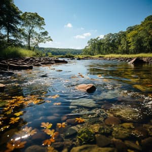 Cadencia Fluvial: Aguas Serenas Del Sueño - Terapia de naturaleza