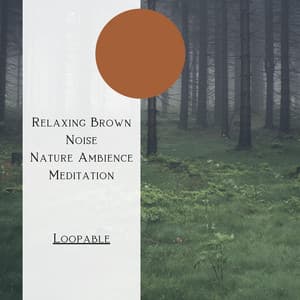Relaxing Brown Noise, Nature Ambience Meditation , Loopable - Natural Forest FX