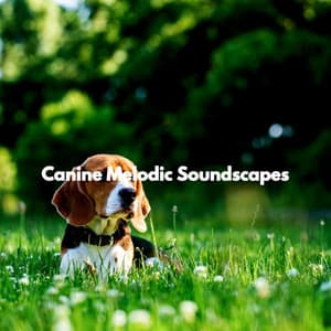 Canine Melodic Soundscapes - Calming Instrumental Jazz Ambiance