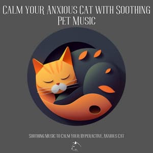 Calm Your Anxious Cat With Soothing Pet Music - Relax Your Cat