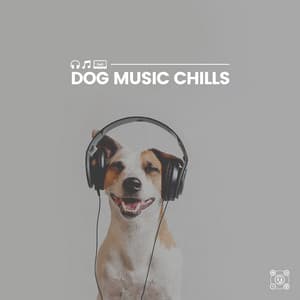 Dog Music Chills - Music for Calming Dogs