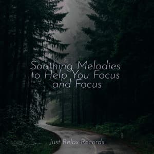 Soothing Melodies to Help You Focus and Focus - Musica para Meditar