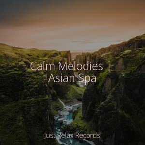 Calm Melodies | Asian Spa - Musica para Meditar