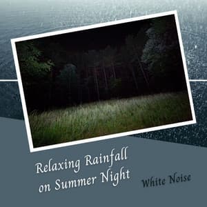 White Noise: Relaxing Rainfall on Summer Night - White Noise Rain