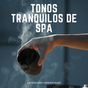 Tonos Tranquilos De Spa En Sonidos Ambientales - Canal de piano clásico