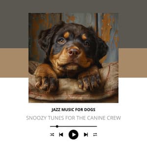 Snoozy Tunes for the Canine Crew - Jazz Music for Dogs