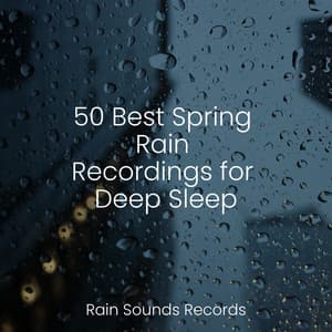 50 Best Spring Rain Recordings for Deep Sleep - Calm Music for Studying