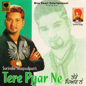 Tere Pyar Ne - Ashok Sharma