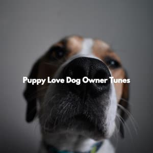 Puppy Love Dog Owner Tunes - Dog Jazz Sounds