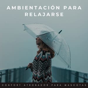 Ambientación Para Relajarse: Confort Atronador Para Mascotas - Trueno etc