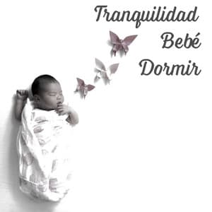 Tranquilidad Bebé Dormir – 1 Hora de Canciones de Cuna Naturales de la Nueva Era - Dormir Maestro