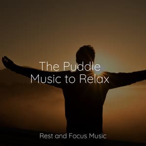 The Puddle Music to Relax - Deep Focus