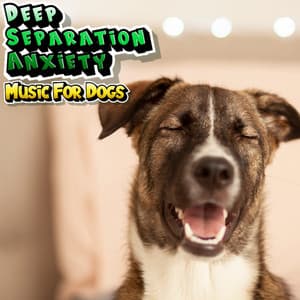 Chill Calm Dog Music For Sleep - Deep Separation Anxiety Music For Dogs