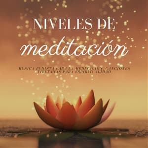 Niveles de Meditación: Música Budista para la Meditación, Canciones Tibetanas para Espiritualidad - Cuencos Tibetanos