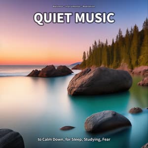 Quiet Music to Calm Down, for Sleep, Studying, Fear - Wellness
