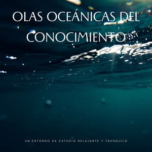 Olas Oceánicas Del Conocimiento: Un Entorno De Estudio Relajante Y Tranquilo - Colección de sonidos del océano