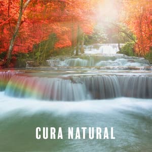 Cura Natural: Música de Cura Relaxante e Sons da Natureza para Reiki, Sono Profundo, Estudo - Natureza Musica Bem-Estar Academia