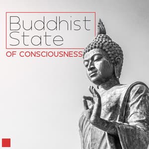 Buddhist State of Consciousness - Kate - Caroline Peace