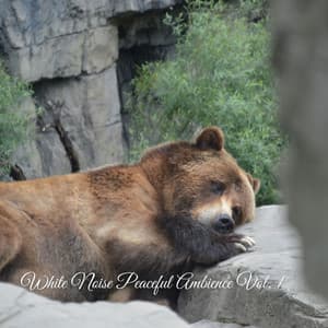 White Noise Peaceful Ambience Vol. 1 - White Noise Therapy