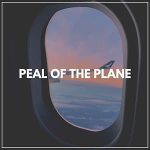 Peal of the Plane - Ambient Nature White Noise