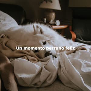 Un momento perruno feliz - Musica Relajante para Perros Momentos