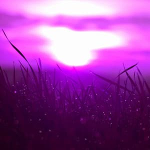 Music for Amusing Earth - Piano Bossa Nova Duo - Jazz Bossanova Playlist