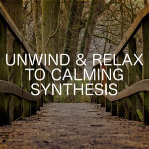 Unwind & Relax To Inspiring Synthesis - Relaxing Chill Out Music