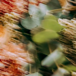 12th Hour: Echoed Balance - White Noise