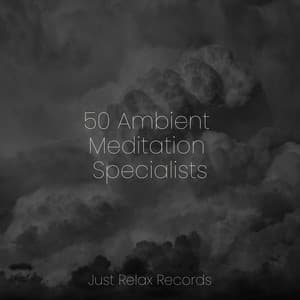 50 Ambient Meditation Specialists - Relaxamento