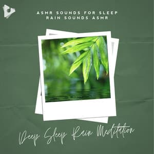 Deep Sleep Rain Meditation - ASMR Sounds for Sleep