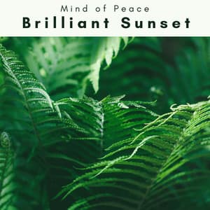 1 0 1 Brilliant Sunset - Mind of Peace