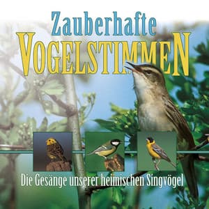 Zauberhafte Vogelstimmen - Bird Voices - Vogelstimmen
