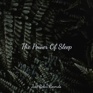 The Power Of Sleep - Calm Music for Studying