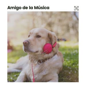 Amigo de la Música - Biblioteca de Música Para Mascotas
