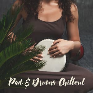 Pad & Drums Chillout - Chill Out Sounds Collective