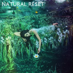 Natural Reset: Peaceful Piano Music with the Powerful Sound of Nature for Relaxation and a Positive Mindset, Calm the Body and Heal the Spirit - Just Relax Music Universe