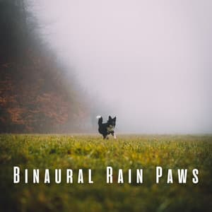Binaural Rain Paws: Theta Waves for Tranquil Dogs - Rain & Thunder