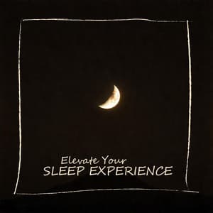 Elevate Your Sleep Experience: Calming Power of Relaxation Music - Insomnia Music Universe