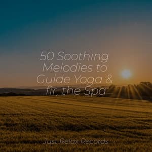 50 Soothing Melodies to Guide Yoga & fir, the Spa - Deep Sleep Relaxation
